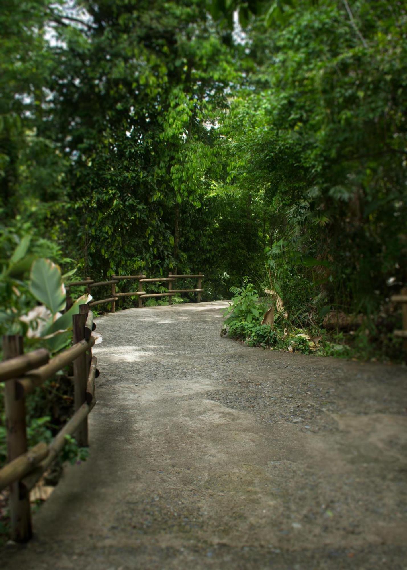 Arenas del Mar Beachfront&Rainforest Resort Nationalpark Nationalpark Manuel Antonio Exterior foto
