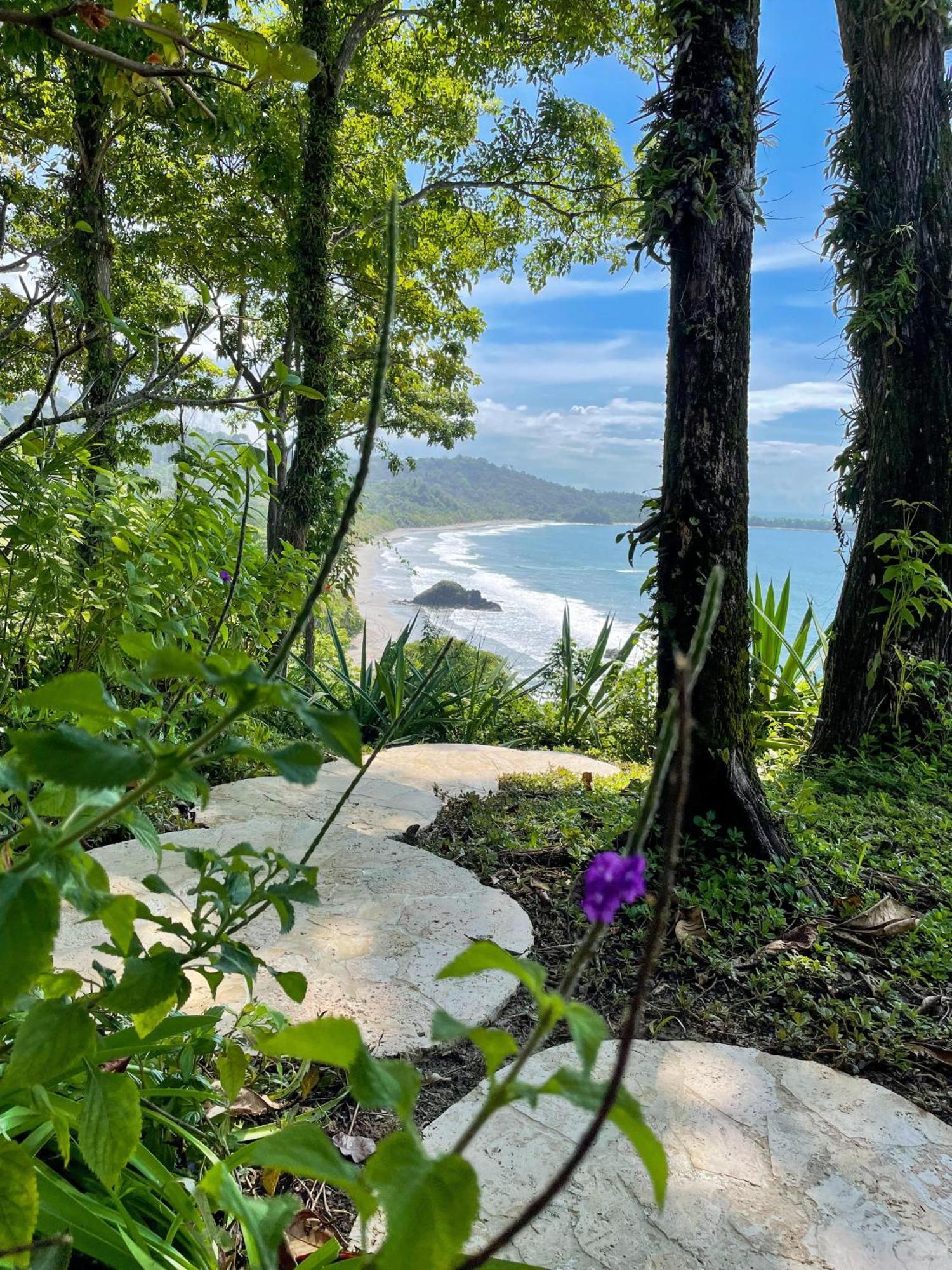 Arenas del Mar Beachfront&Rainforest Resort Nationalpark Nationalpark Manuel Antonio Exterior foto