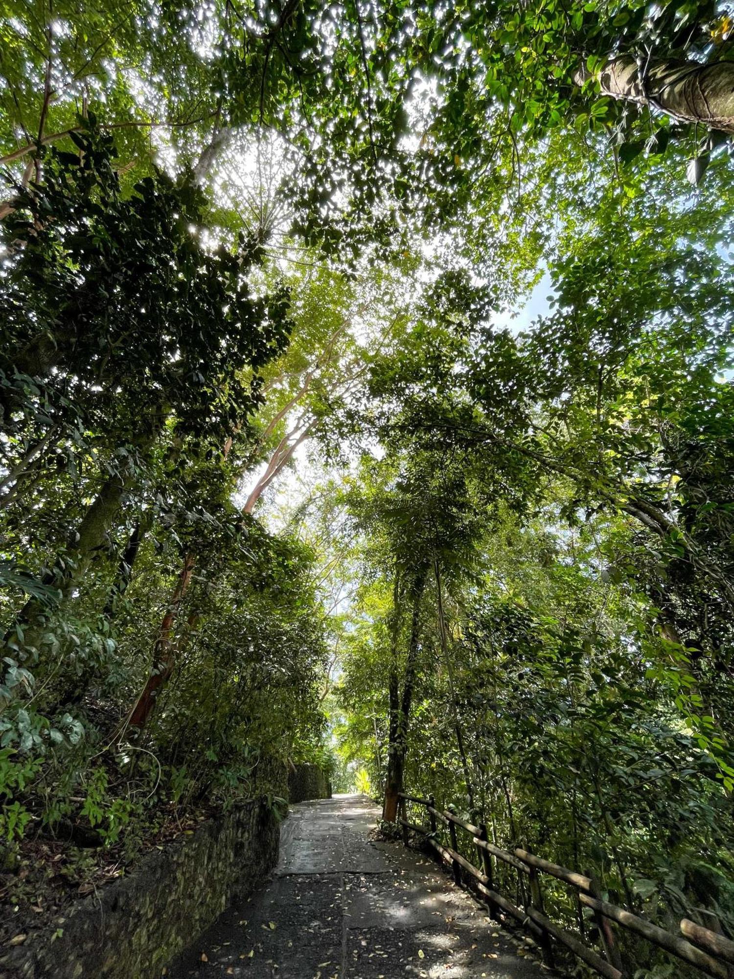 Arenas del Mar Beachfront&Rainforest Resort Nationalpark Nationalpark Manuel Antonio Exterior foto